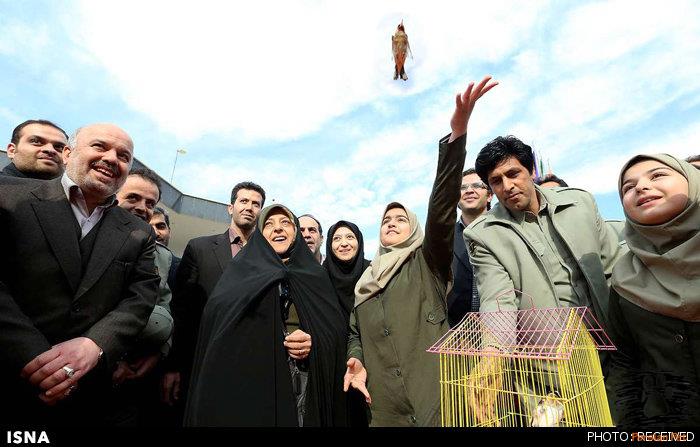 رهاسازی پرندگان جایگزین قربانی شدن حیوانات در بازدیدها شود 