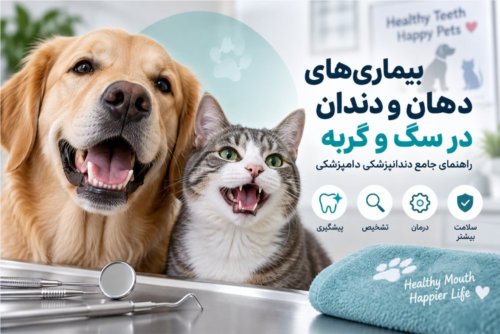 بیماری‌های دهان و دندان در سگ و گربه | راهنمای جامع دندانپزشکی دامپزشکی