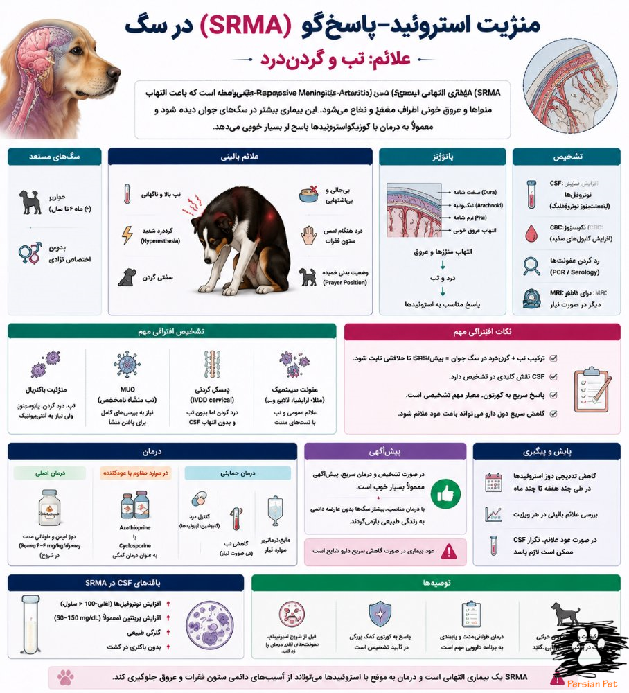 SRMA در سگ | مننژیت استروئید-پاسخ‌گو، علائم، تب و گردن‌درد