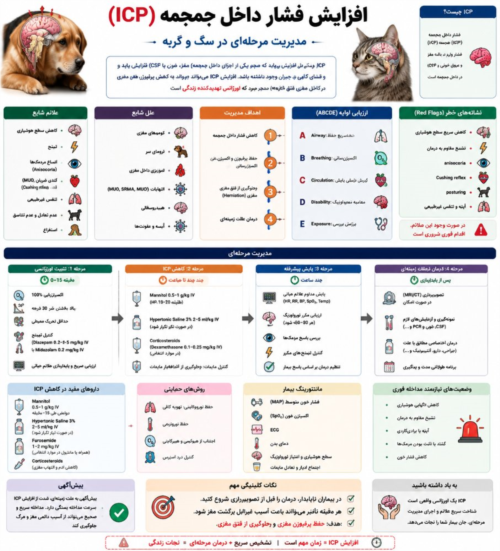 افزایش فشار داخل جمجمه (ICP) | مدیریت مرحله‌ای و درمان اورژانسی در سگ و گربه