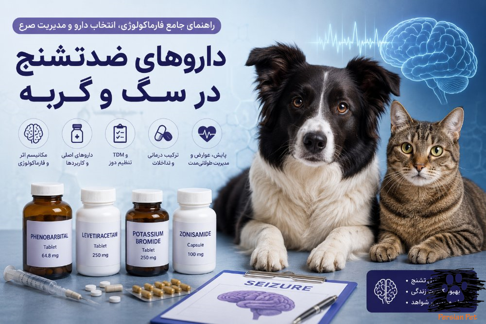 داروهای ضدتشنج در سگ و گربه | راهنمای جامع فارماکولوژی، انتخاب دارو و مدیریت صرع