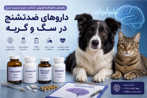 داروهای ضدتشنج در سگ و گربه | راهنمای جامع فارماکولوژی، انتخاب دارو و مدیریت صرع