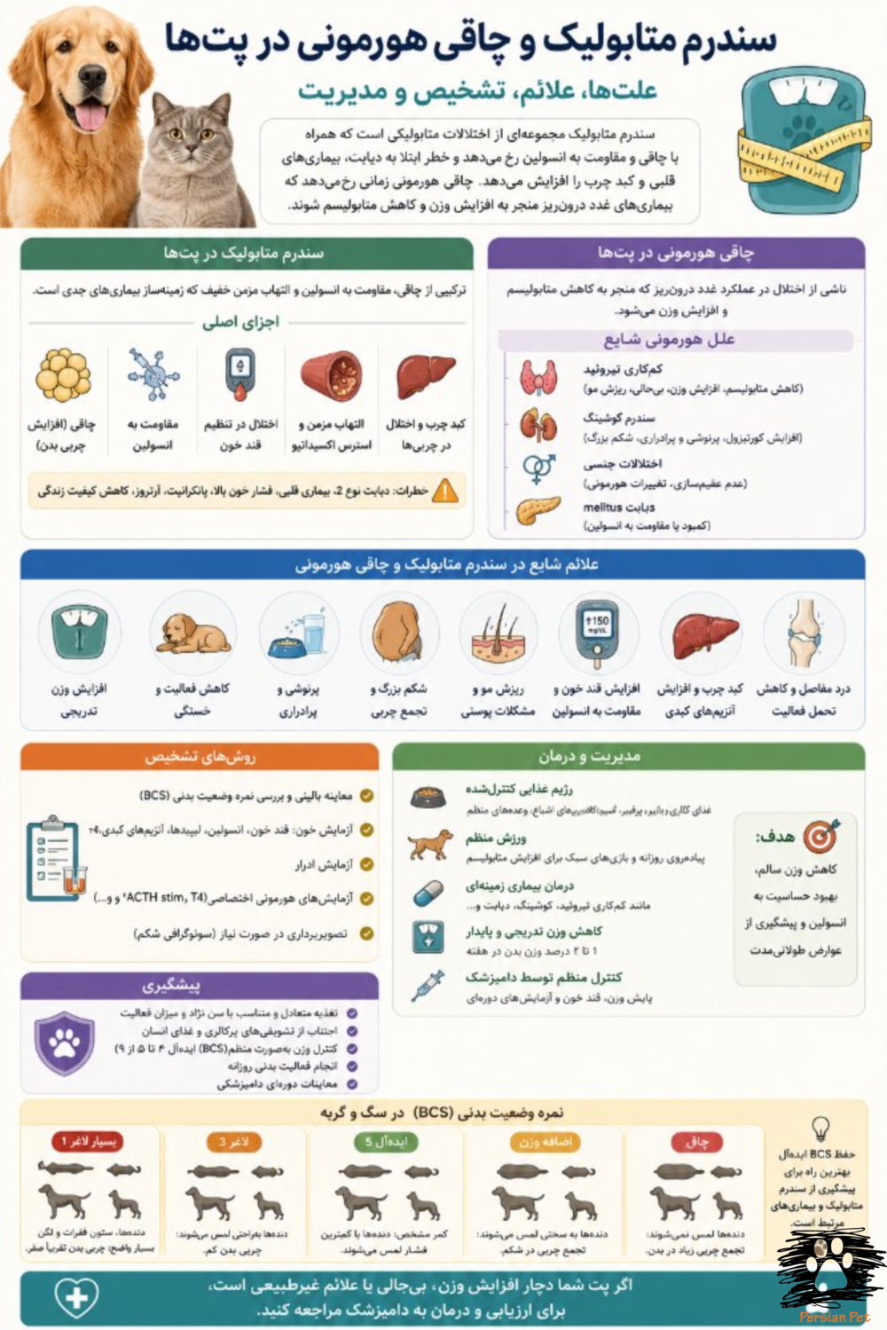 سندرم متابولیک و چاقی هورمونی در پت‌ها | تشخیص، مدیریت و پیشگیری