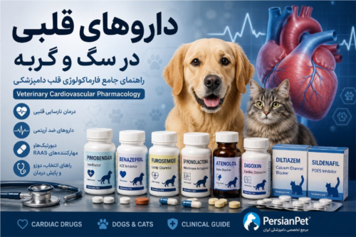 داروهای قلبی در سگ و گربه | راهنمای جامع فارماکولوژی قلب دامپزشکی | PersianPet