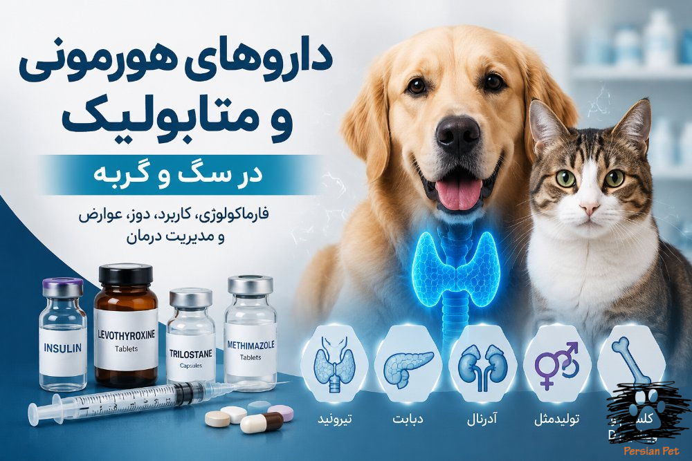 داروهای هورمونی و متابولیک در سگ و گربه | فارماکولوژی، کاربرد، دوز و مدیریت درمان