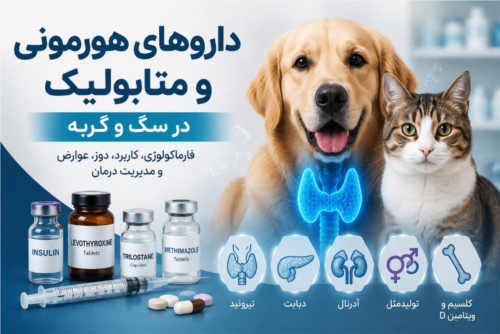داروهای هورمونی و متابولیک در سگ و گربه | فارماکولوژی، کاربرد، دوز و مدیریت درمان