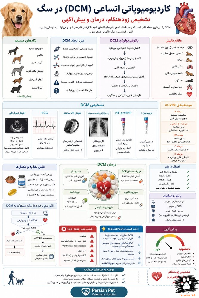 کاردیومیوپاتی اتساعی (DCM) در سگ | تشخیص زودهنگام، درمان و پیش‌آگهی