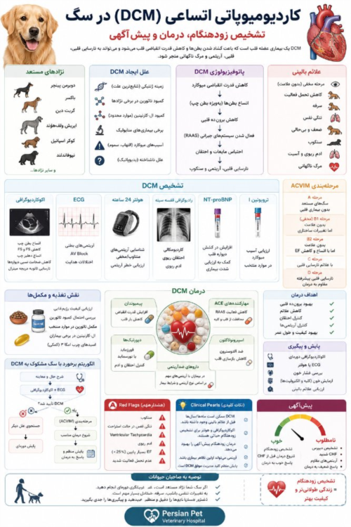 کاردیومیوپاتی اتساعی (DCM) در سگ | تشخیص زودهنگام، درمان و پیش‌آگهی