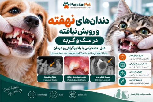 دندان‌های نهفته و رویش‌نیافته در سگ و گربه | علل، تشخیص با رادیوگرافی و درمان