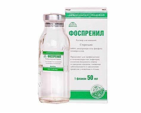 تحلیل تخصصی Fosprenil و Gamavit و پروتکل درمانی بیمارستان دامپزشکی پرشین‌پت»