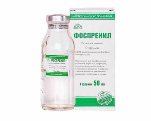 تحلیل تخصصی Fosprenil و Gamavit و پروتکل درمانی بیمارستان دامپزشکی پرشین‌پت»