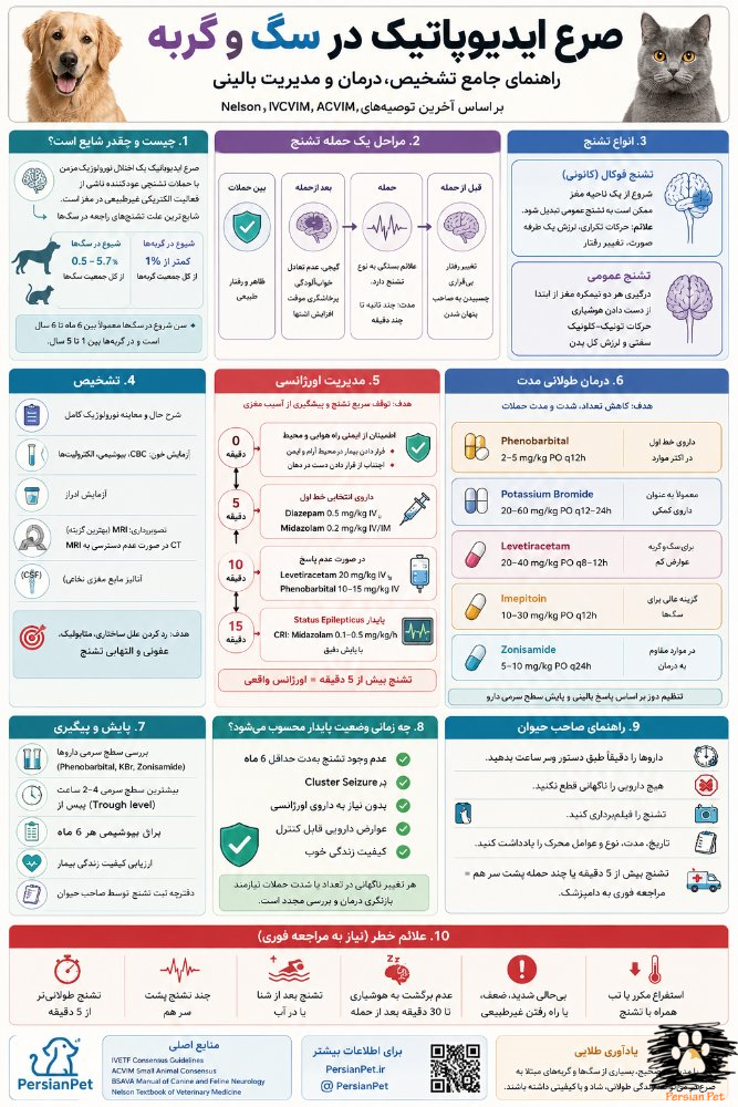 صرع در سگ و گربه | تشخیص، درمان و مدیریت صرع ایدیوپاتیک