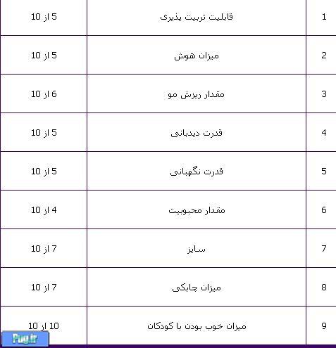 پوینتر