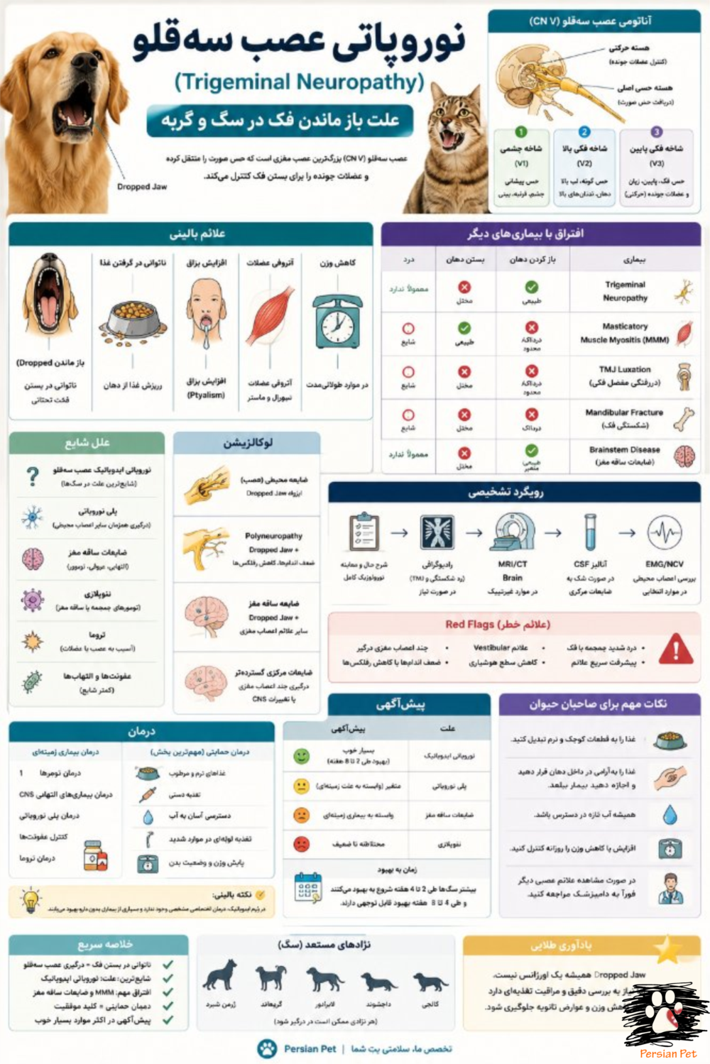 Trigeminal Neuropathy در سگ و گربه | علت باز ماندن فک، تشخیص و درمان