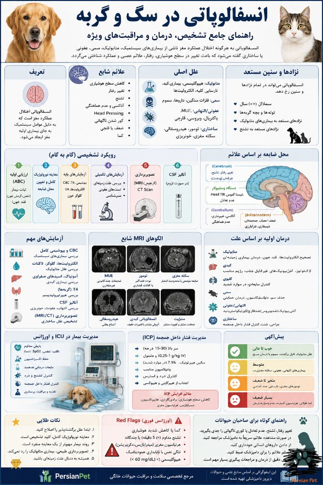 انسفالوپاتی در سگ و گربه | راهنمای جامع تشخیص، درمان، اورژانس، ICU و مدیریت تخصصی