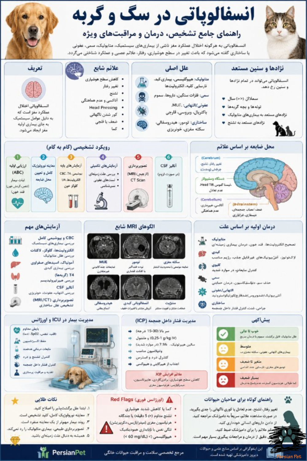انسفالوپاتی در سگ و گربه | راهنمای جامع تشخیص، درمان، اورژانس، ICU و مدیریت تخصصی