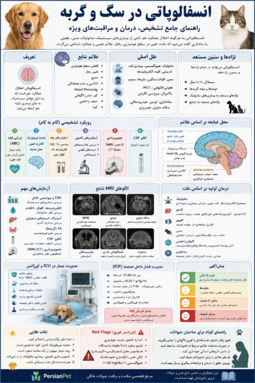 انسفالوپاتی در سگ و گربه | راهنمای جامع تشخیص، درمان، اورژانس، ICU و مدیریت تخصصی
