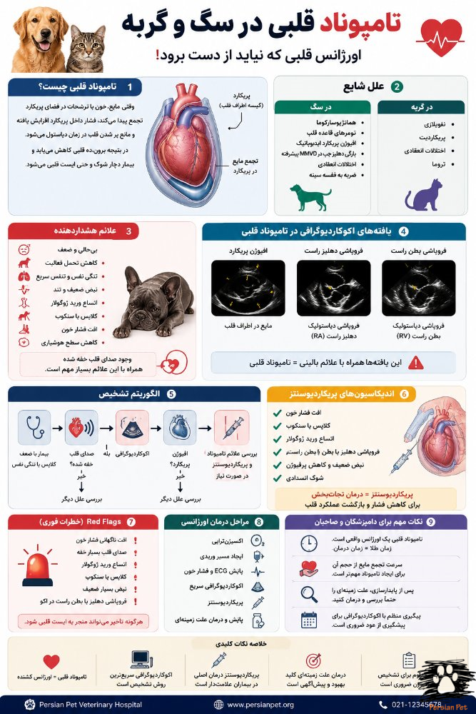 تامپوناد قلبی در سگ و گربه | علائم، تشخیص و درمان اورژانسی
