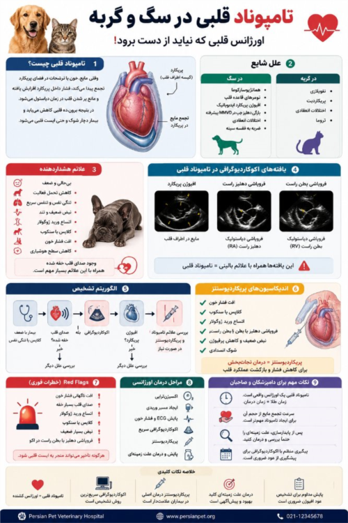 تامپوناد قلبی در سگ و گربه | علائم، تشخیص و درمان اورژانسی