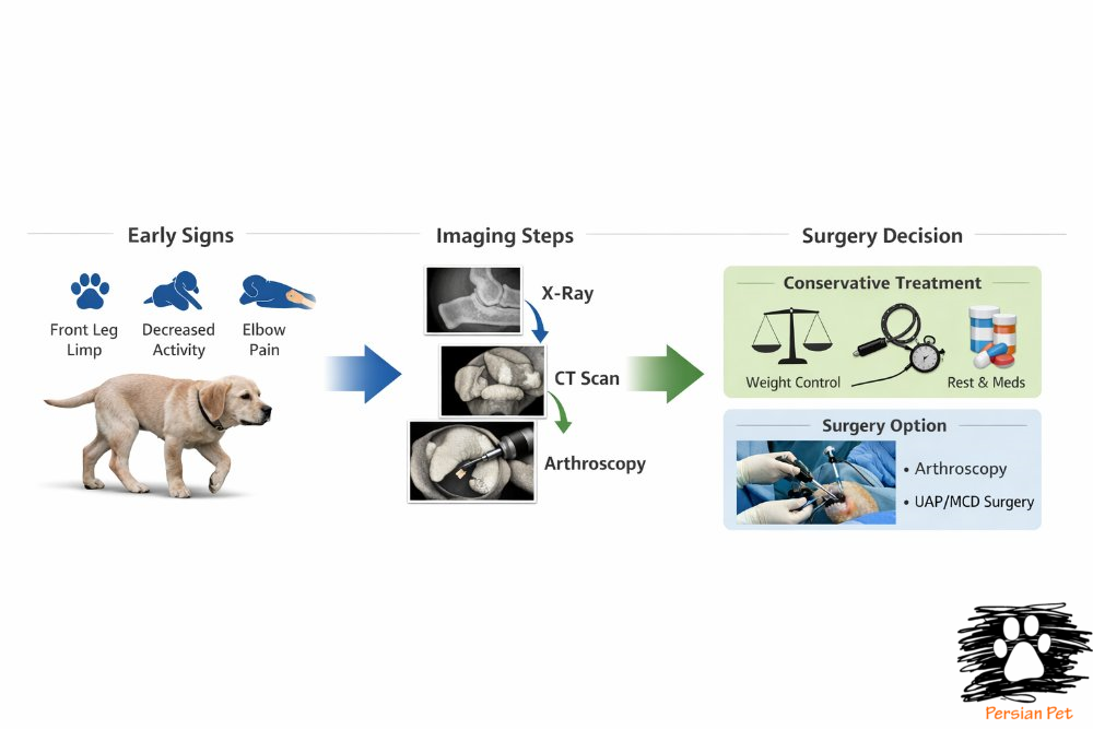 دیسپلازی آرنج توله‌های بزرگ‌نژاد؛ تشخیص زودهنگام