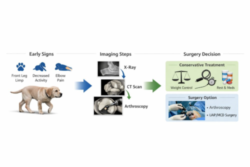 دیسپلازی آرنج توله‌های بزرگ‌نژاد؛ تشخیص زودهنگام