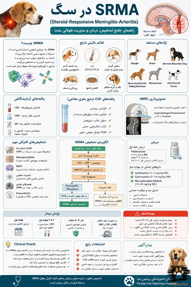 SRMA در سگ | علائم، تشخیص، درمان و پیش‌آگهی مننژیت پاسخ‌دهنده به استروئید