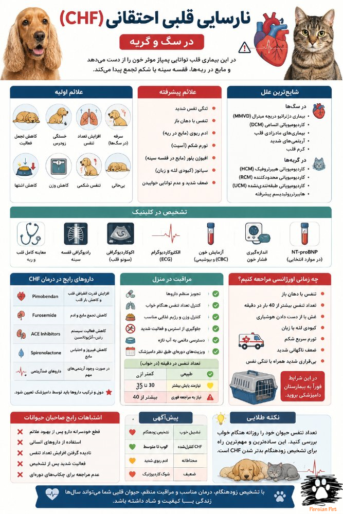 نارسایی قلبی احتقانی (CHF) در سگ و گربه | علائم، تشخیص و درمان کامل