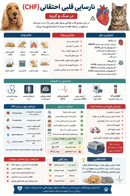 نارسایی قلبی احتقانی (CHF) در سگ و گربه | علائم، تشخیص و درمان کامل