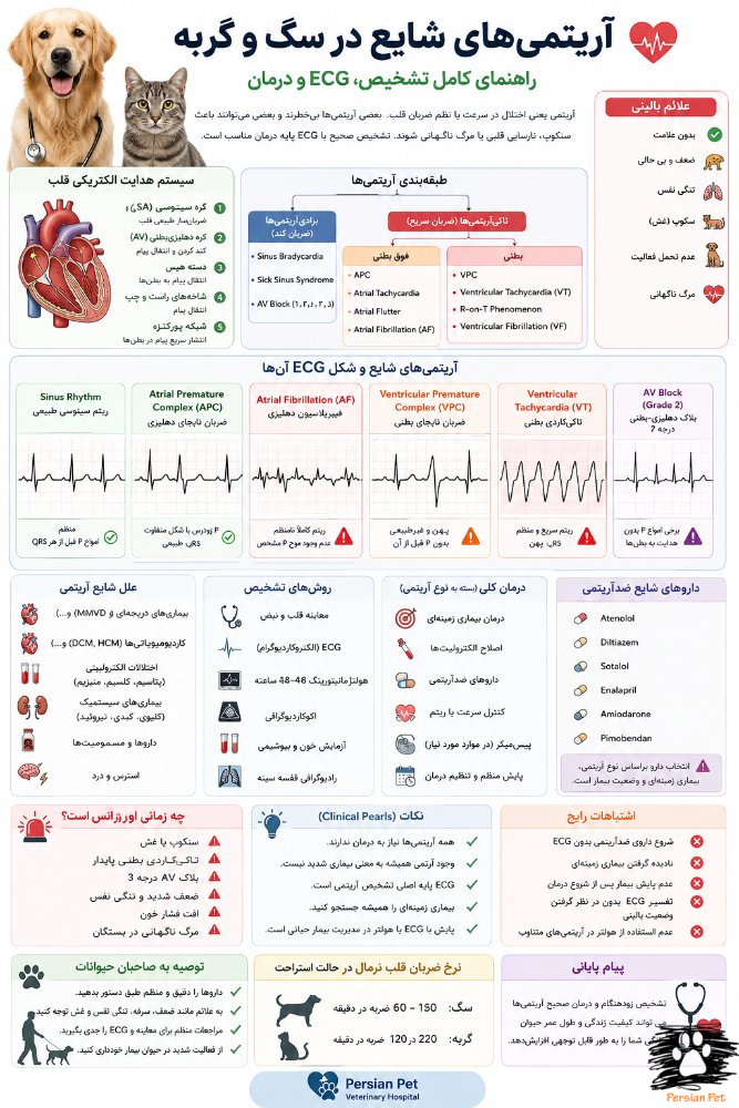 آریتمی‌های شایع در سگ و گربه | راهنمای کامل تشخیص، ECG و درمان
