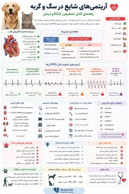 آریتمی‌های شایع در سگ و گربه | راهنمای کامل تشخیص، ECG و درمان