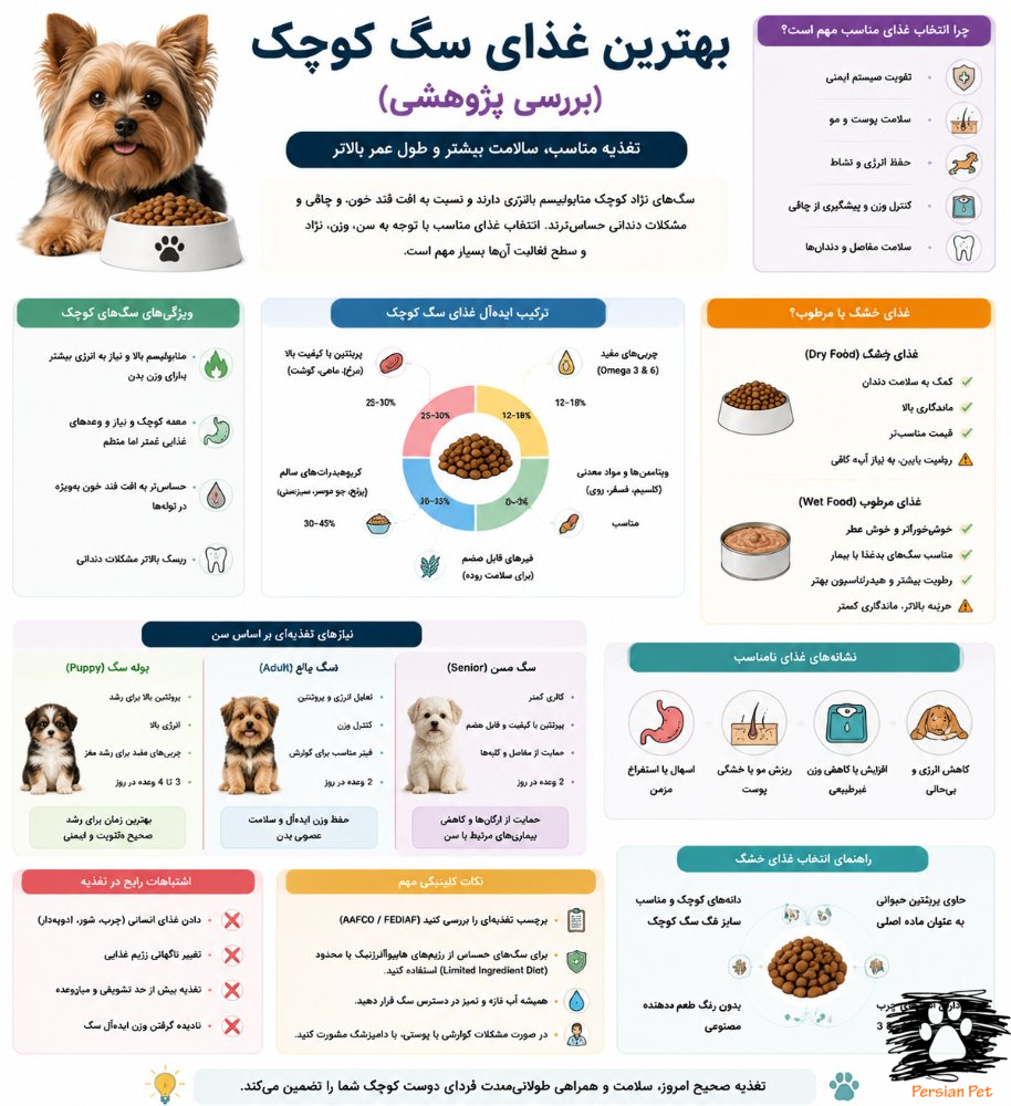 بهترین غذای سگ کوچک | بررسی علمی، نیازهای تغذیه‌ای و انتخاب غذای مناسب