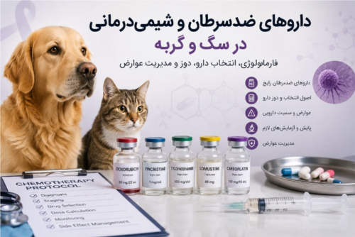 داروهای ضدسرطان و شیمی‌درمانی در سگ و گربه | فارماکولوژی، انتخاب دارو، دوز و مدیریت عوارض