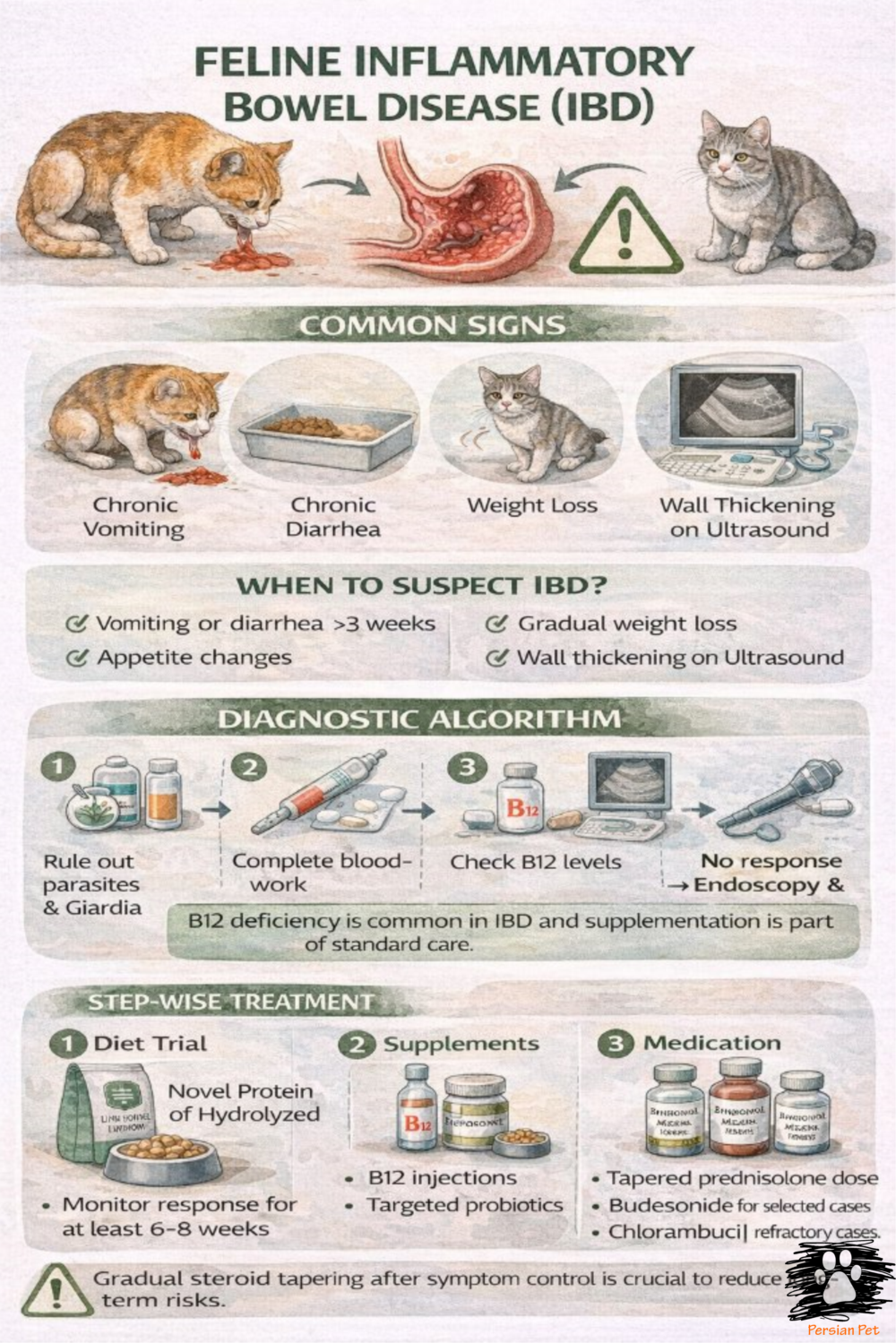 IBD در گربه | تشخیص، افتراق با لنفوم و درمان