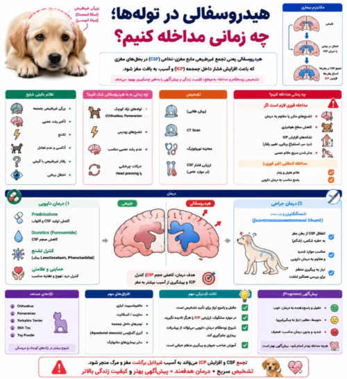 هیدروسفالی در توله‌ها | علائم، تشخیص و زمان مداخله درمانی