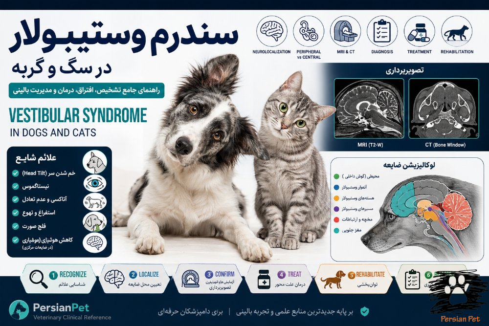 سندرم وستیبولار در سگ و گربه