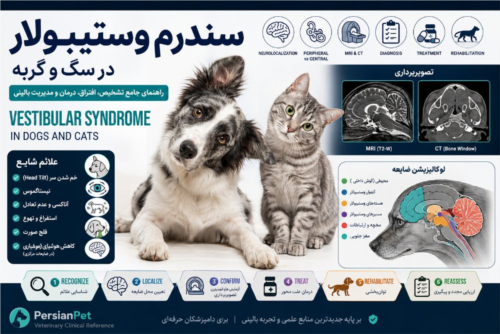 سندرم وستیبولار در سگ و گربه