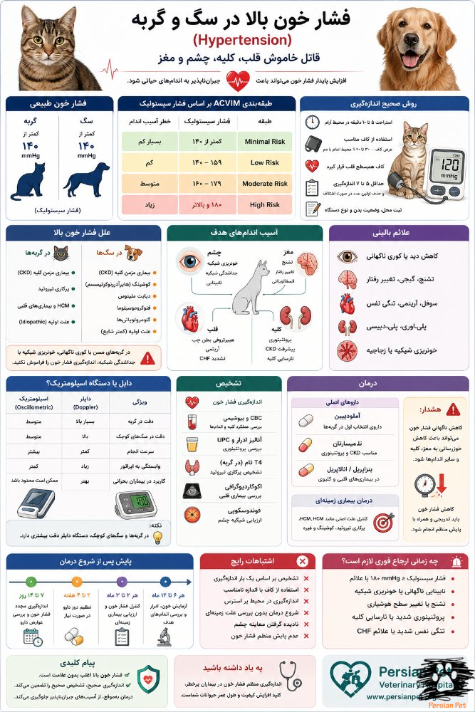 فشار خون بالا در سگ و گربه | تشخیص، درمان، آملودیپین و پایش