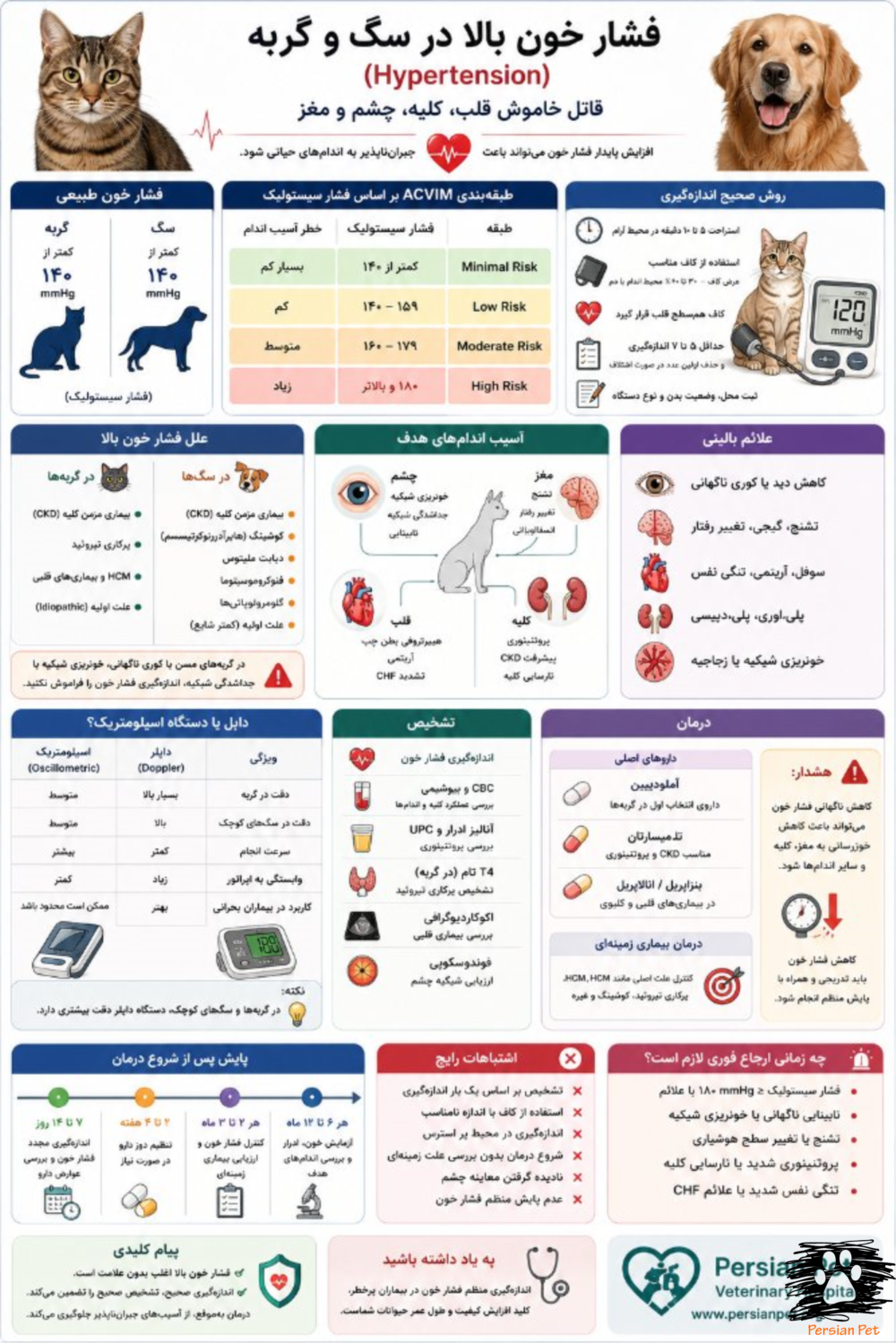فشار خون بالا در سگ و گربه | تشخیص، درمان، آملودیپین و پایش