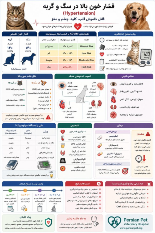 فشار خون بالا در سگ و گربه | تشخیص، درمان، آملودیپین و پایش