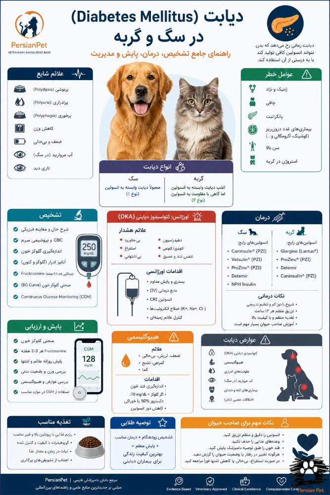 دیابت (Diabetes Mellitus) در سگ و گربه؛ راهنمای جامع تشخیص، درمان، مدیریت، انسولین و پایش