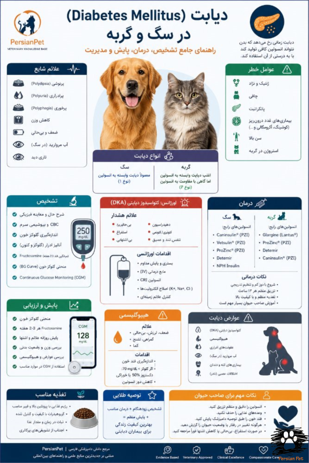 دیابت (Diabetes Mellitus) در سگ و گربه؛ راهنمای جامع تشخیص، درمان، مدیریت، انسولین و پایش