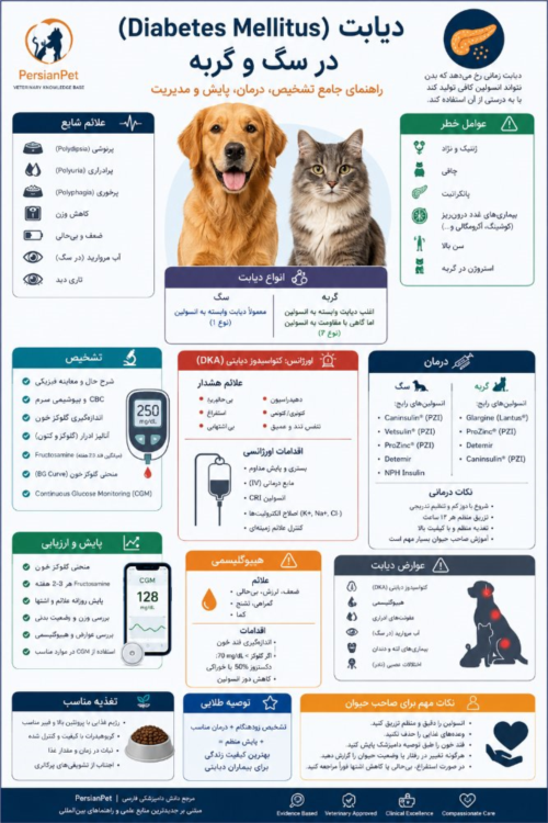 دیابت (Diabetes Mellitus) در سگ و گربه؛ راهنمای جامع تشخیص، درمان، مدیریت، انسولین و پایش
