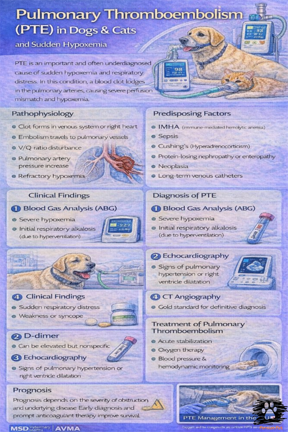 ترومبوآمبولی ریوی در سگ و گربه | PTE و هیپوکسمی ناگهانی