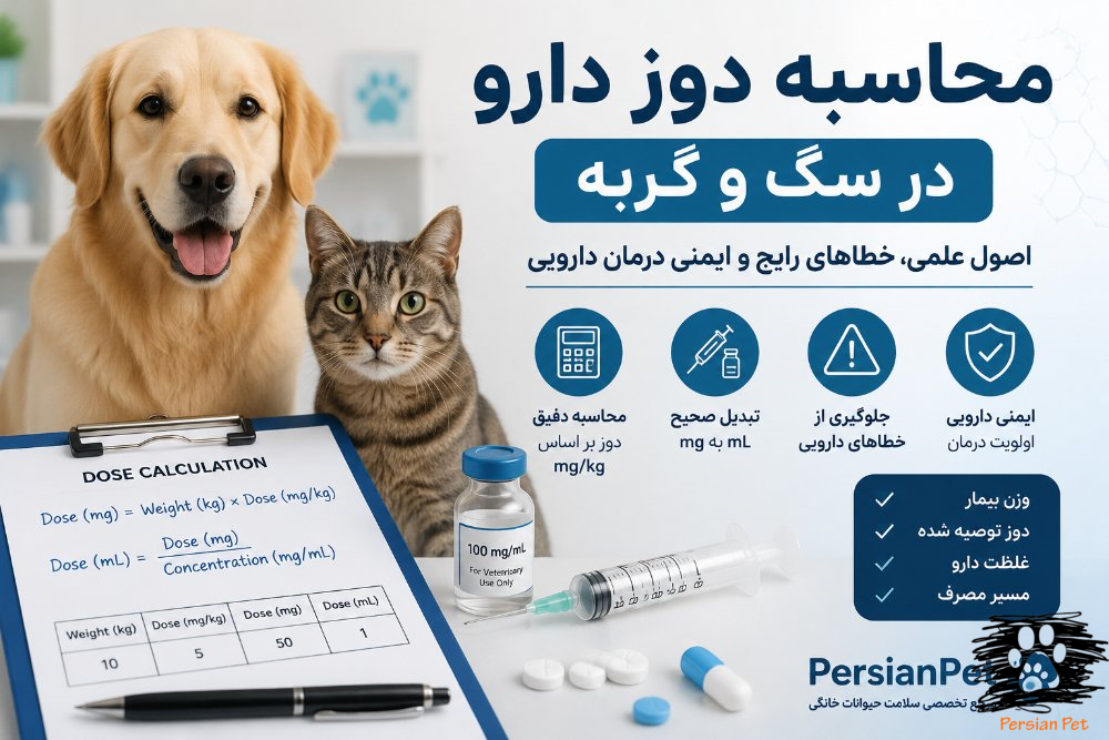 محاسبه دوز دارو در سگ و گربه | اصول Dose Calculation دامپزشکی