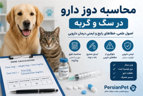 محاسبه دوز دارو در سگ و گربه | اصول Dose Calculation دامپزشکی