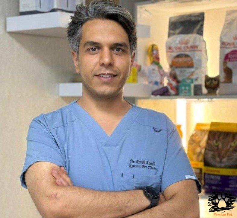 دیابت در گربه؛ تشخیص و امکان رمیسیون