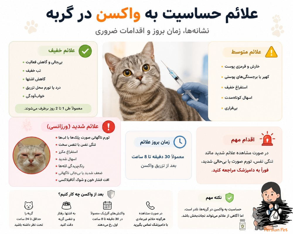 علائم حساسیت به واکسن در گربه | درمان و اقدامات ضروری