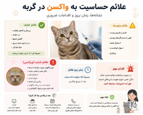 علائم حساسیت به واکسن در گربه | درمان و اقدامات ضروری