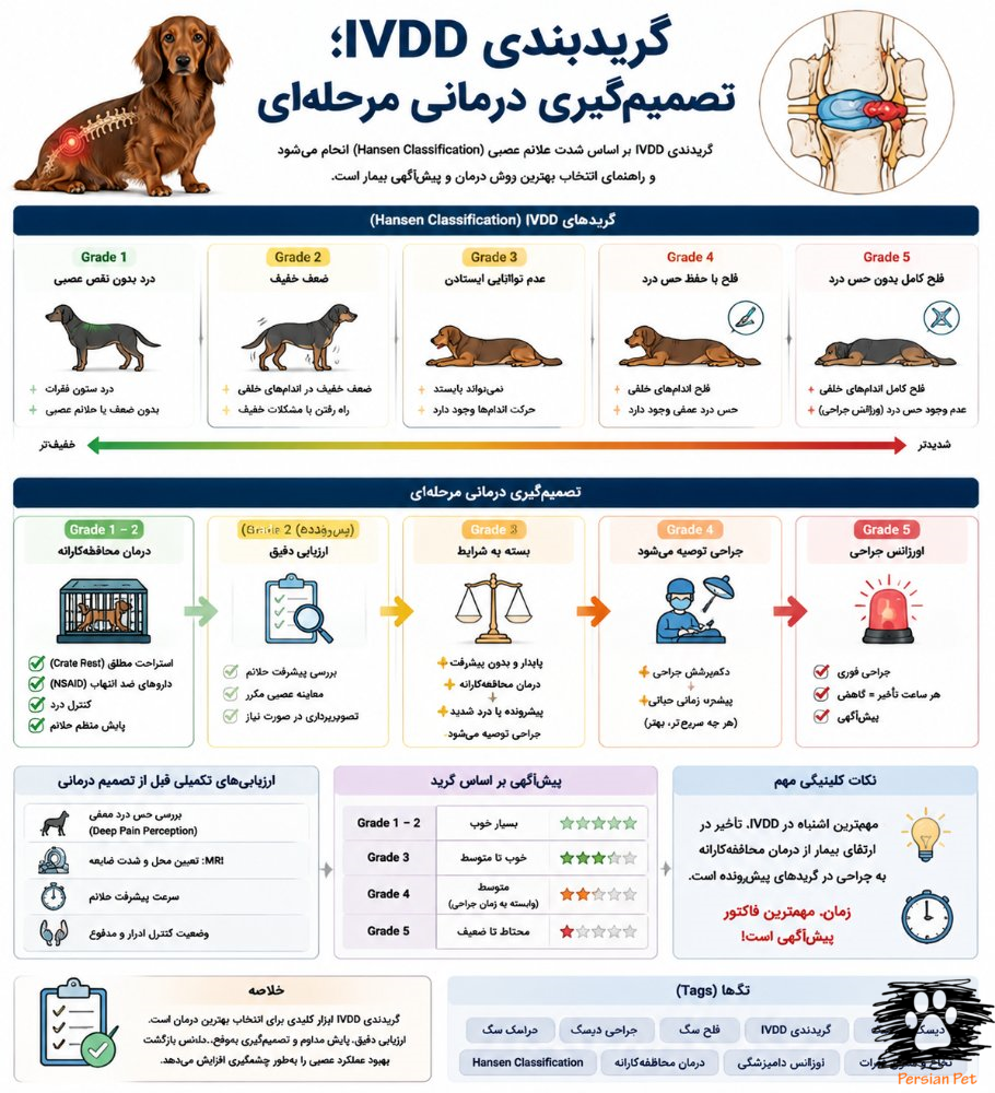 گریدبندی IVDD در سگ | تصمیم‌گیری درمانی مرحله‌ای و انتخاب جراحی