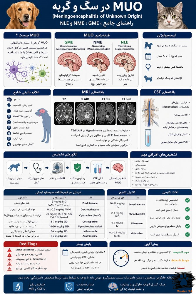 MUO در سگ و گربه | راهنمای جامع GME، NME و NLE، تشخیص و درمان